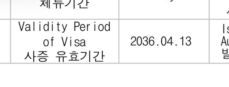 𝘳𝘪𝘴𝘰𝘵𝘵𝘰 𝘱𝘢𝘴𝘵𝘢 🌻 tweet media