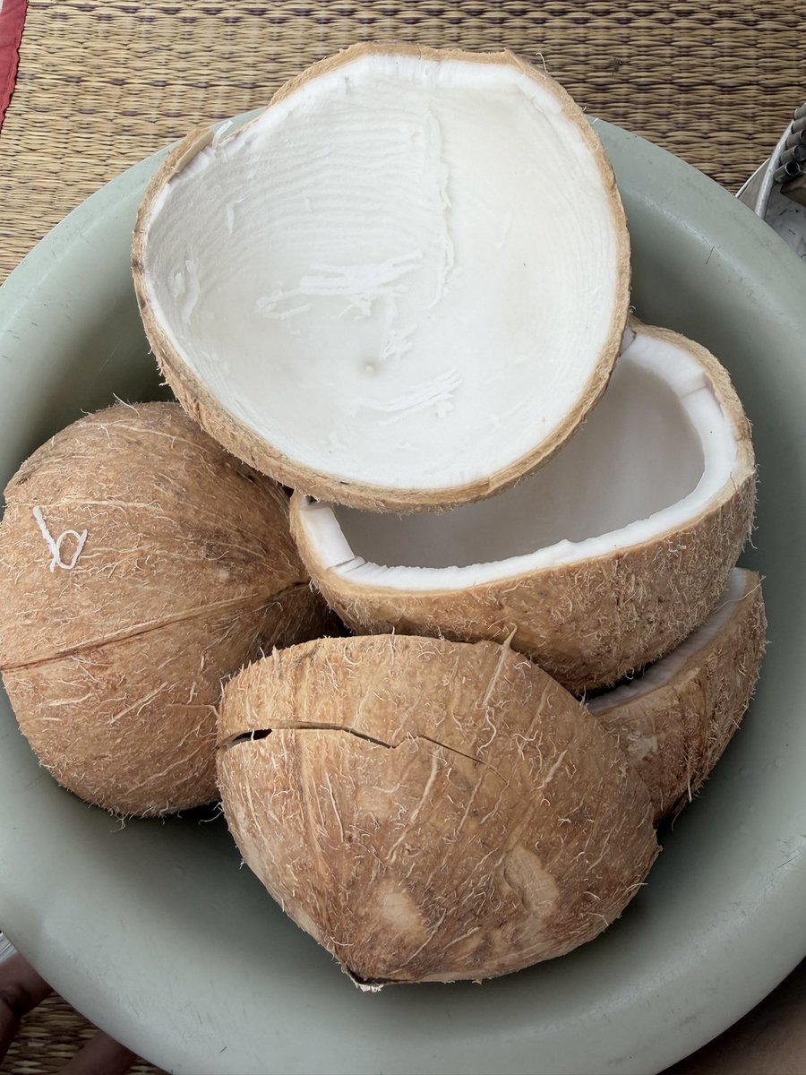 JAYB my dearest 🌴 tweet media