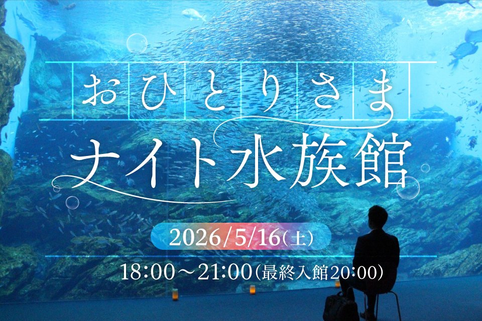 仙台うみの杜水族館公式 tweet media