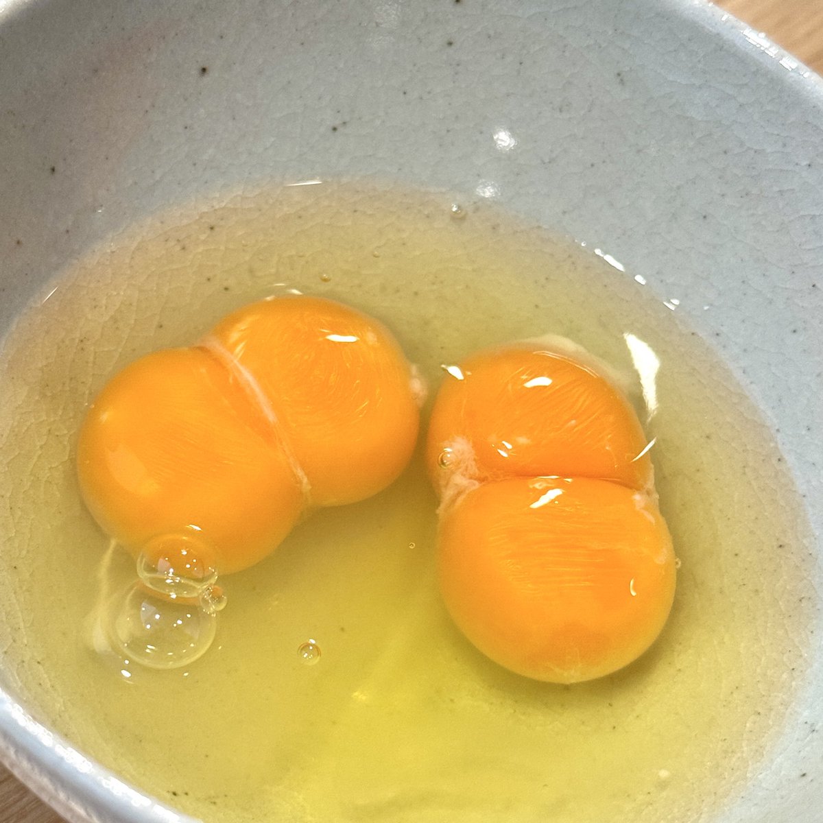 Toshiki Masuda / 増田 俊樹 tweet media