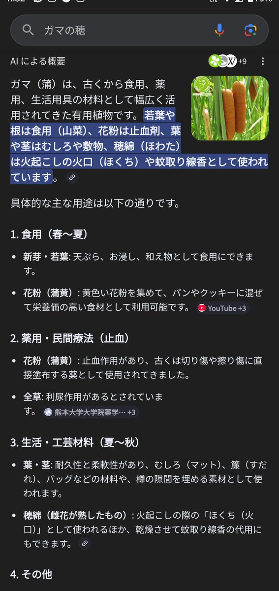 まりまる tweet media