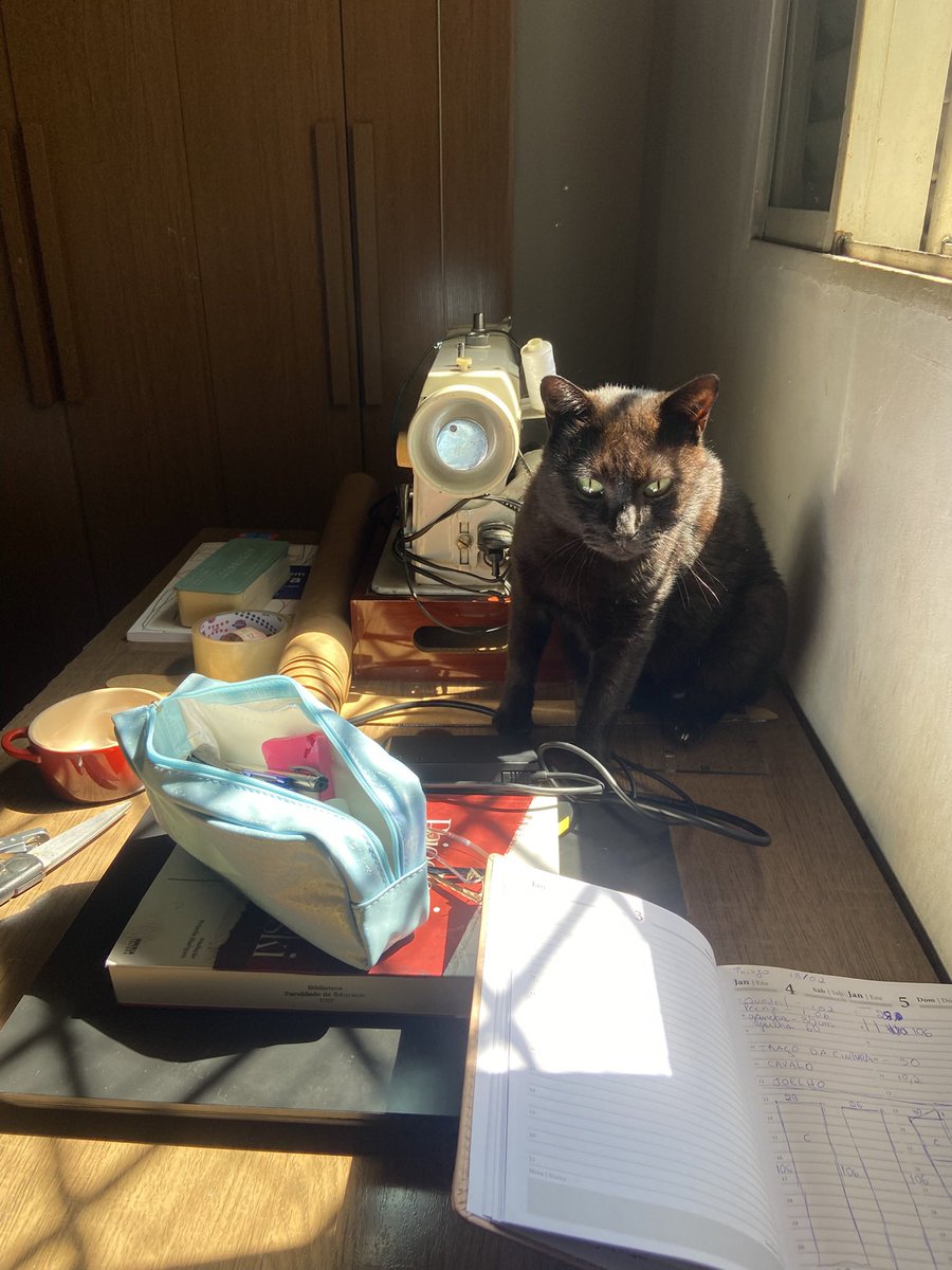 tomatoes tweet media