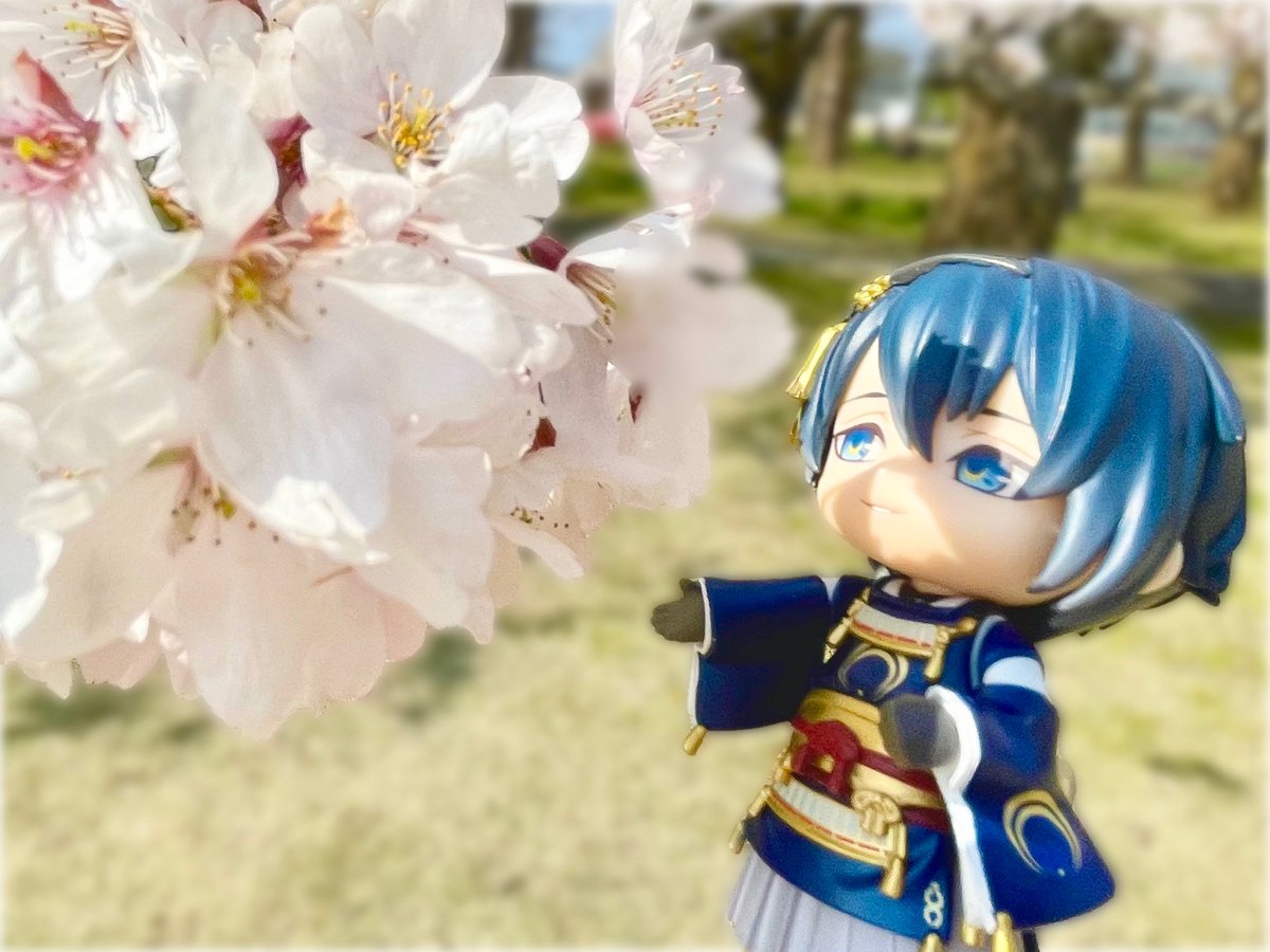 今年も桜の季節はあっという間でした。
写真で振り返ると寂しくなるけど、また会える日を楽しみにしてます🌸