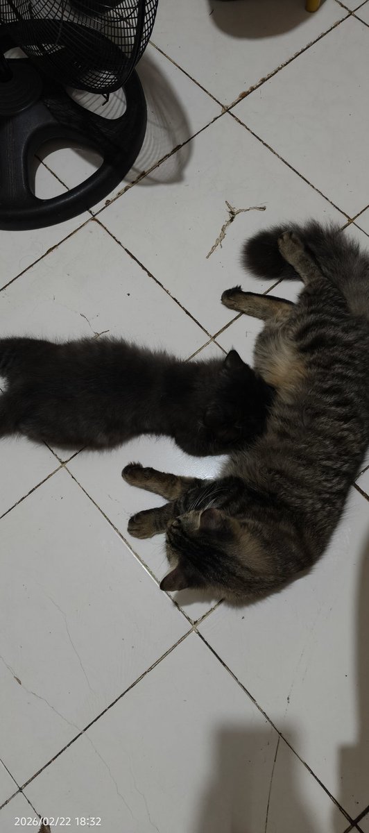 Ghouls Gallery tweet media