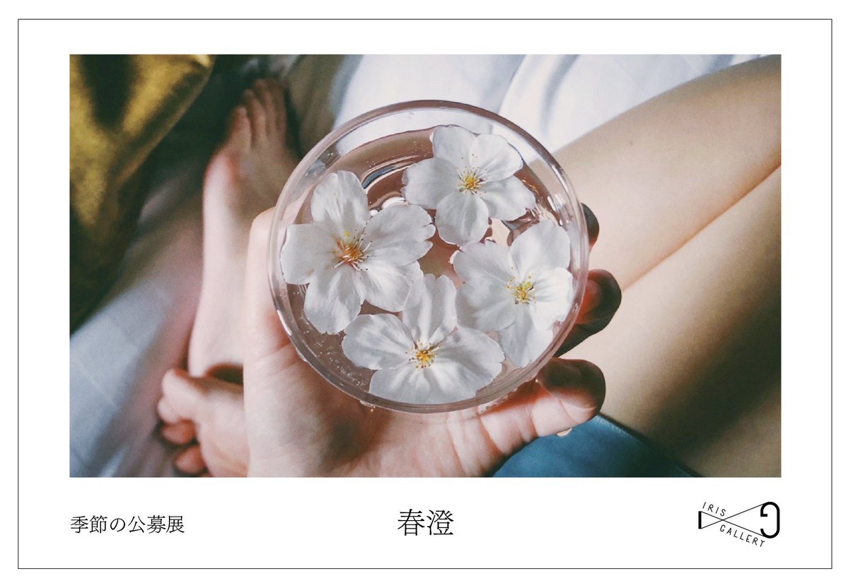 N。（えぬまる） tweet media