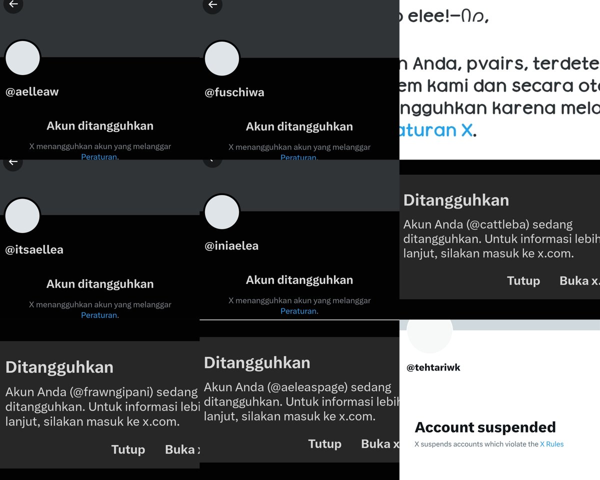 🅰️𝒆𝒍! tweet media