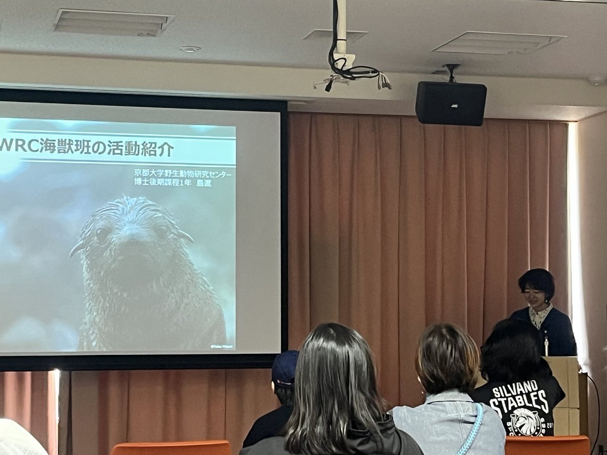 京大WRC海獣班 tweet media
