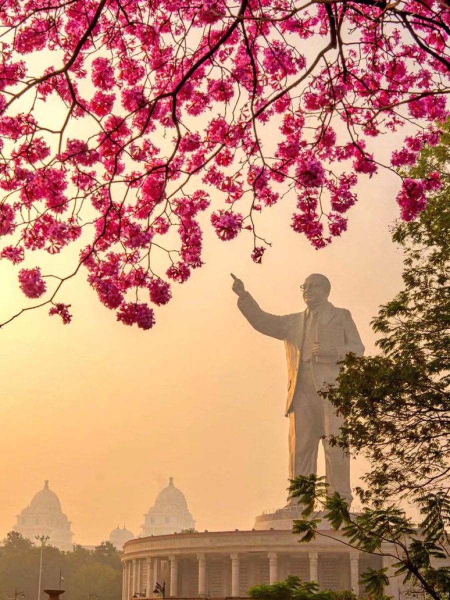 Giri Cherkupally tweet media