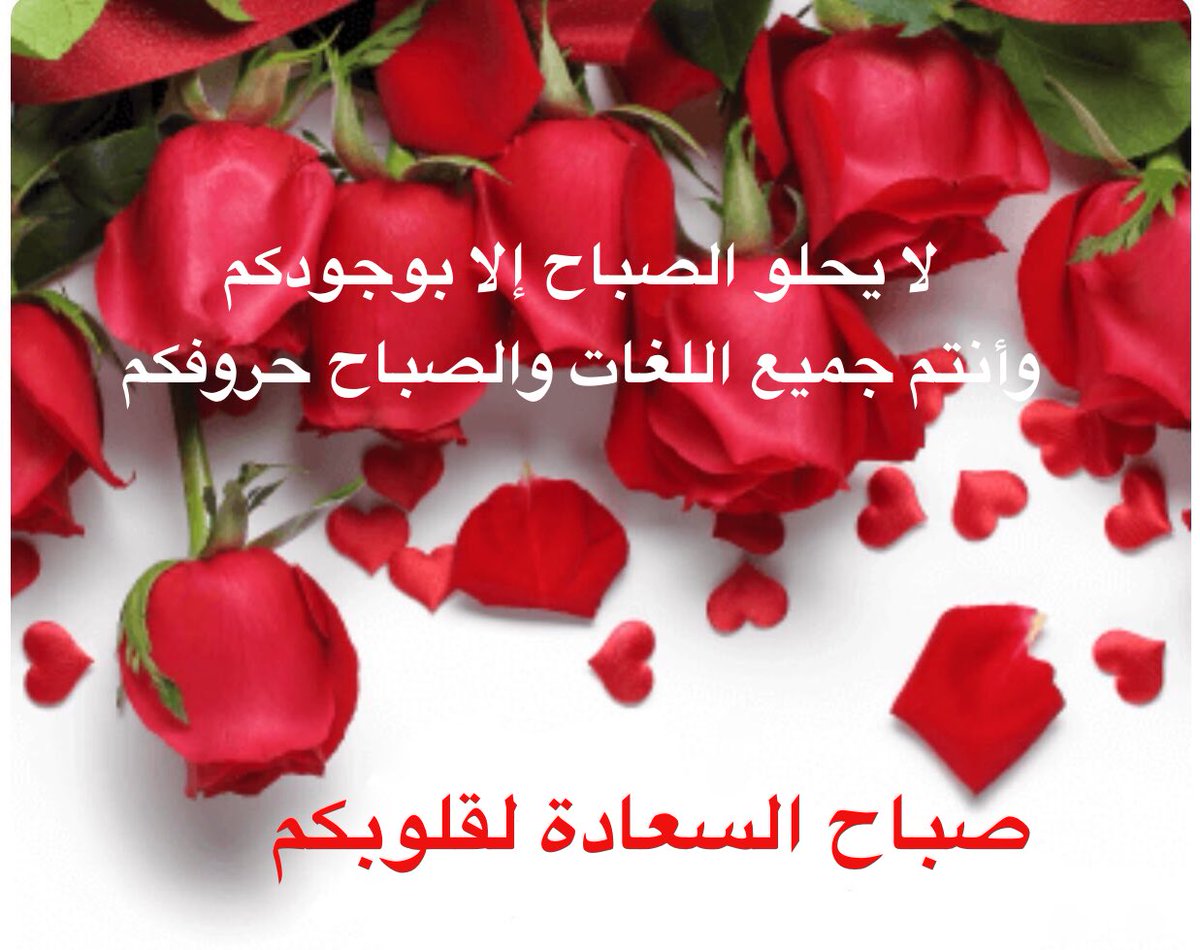 🌸maha🌸 tweet media