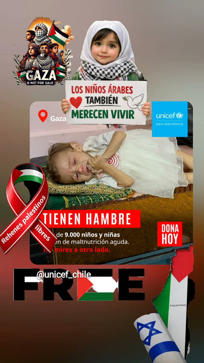 🇨🇱🌳🇵🇸@PaolaTuteleers tweet media