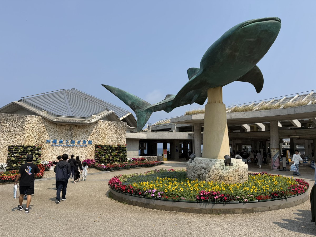 瓦斯ワイス tweet media