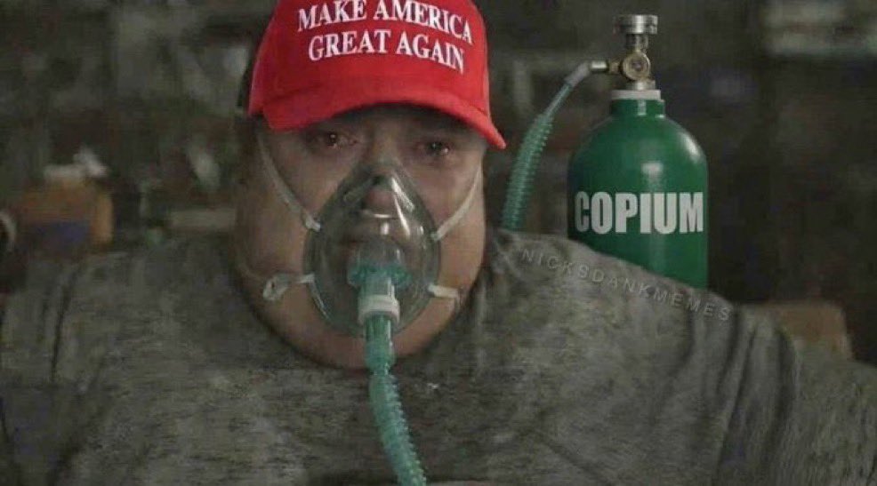 SillyGooseGroyper tweet media