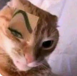 Zazel Armster tweet media