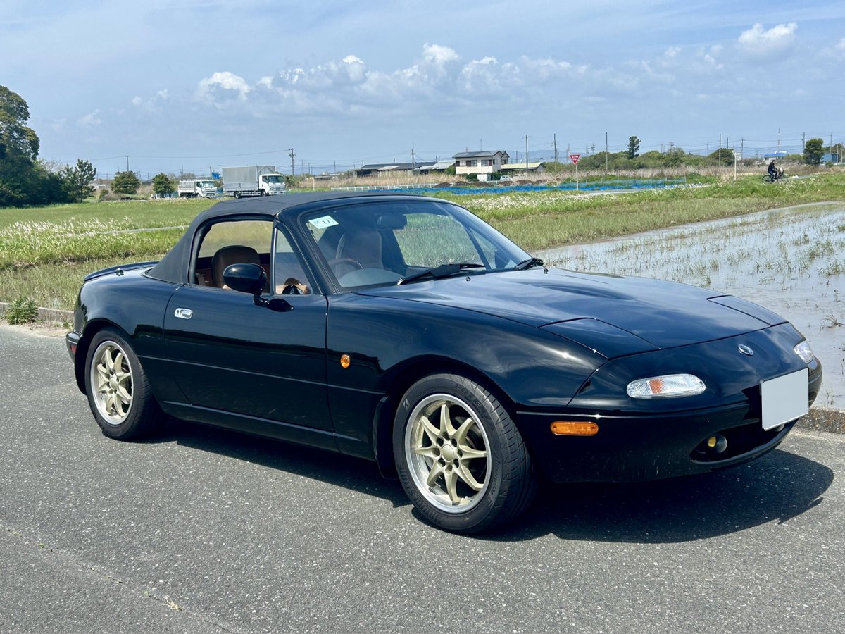 うえしま院長/縁の下の整体師1971年生まれ【個人垢】 tweet media