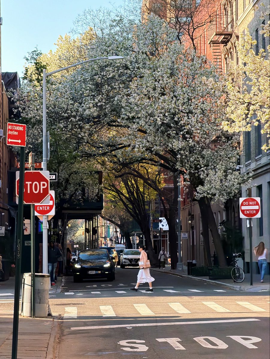 SarahYanezR's tweet image. April 13, 2026

The West Village, New York