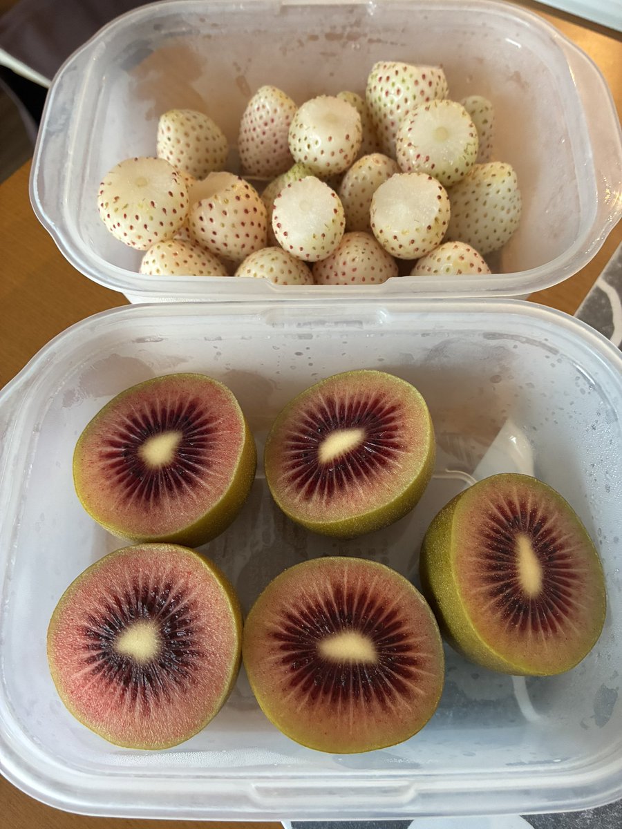 miomio_fx tweet media