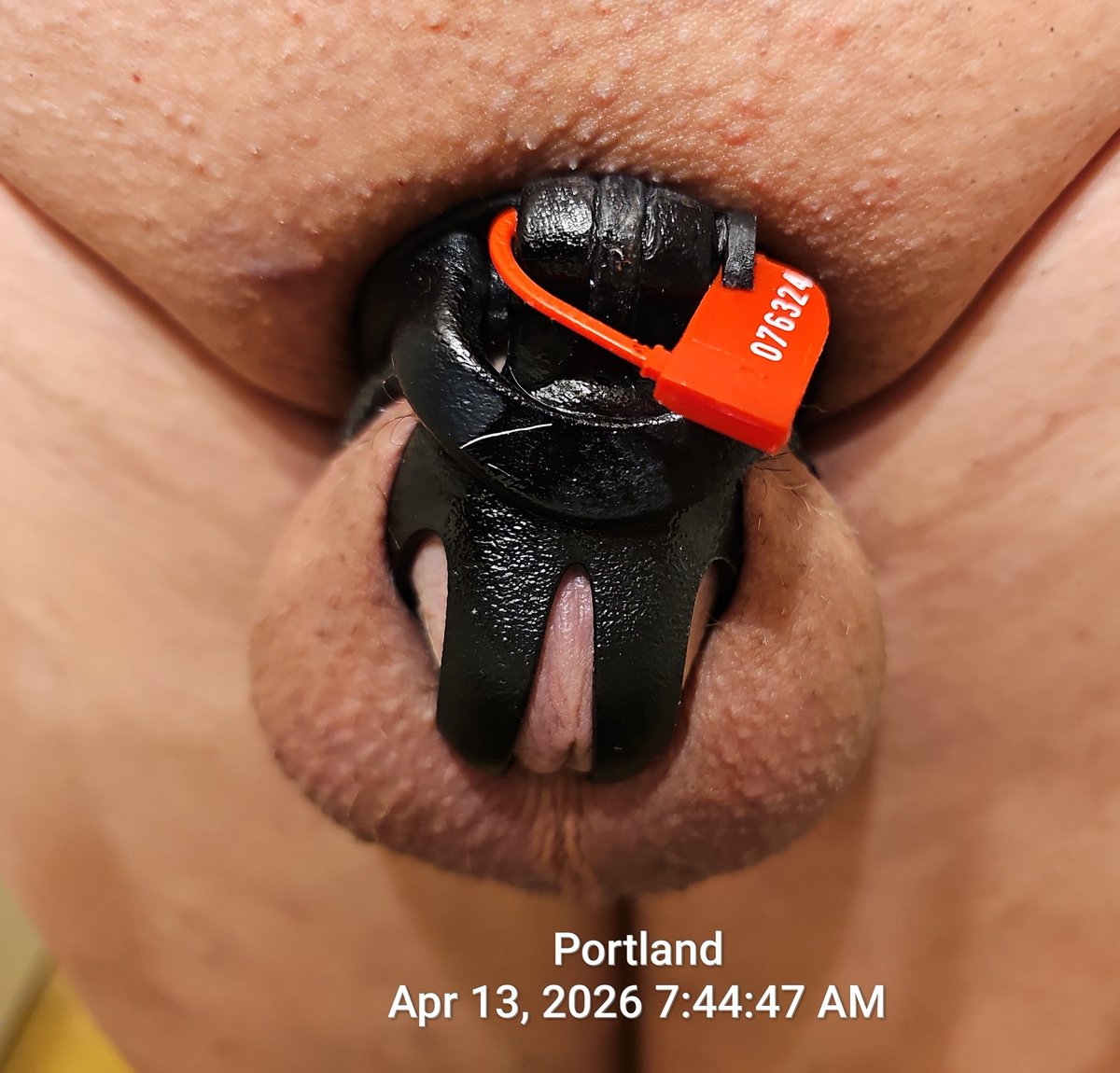 Caged C Ck PDX tweet media