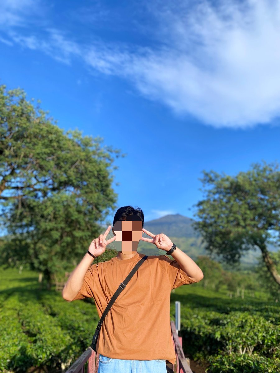 chokoala16's tweet image. Kebun Teh Lawang 
Bukit Kuneer

#malang