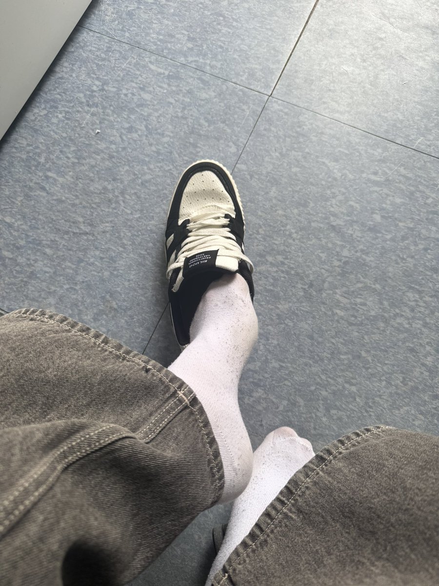 핀돔 tweet media