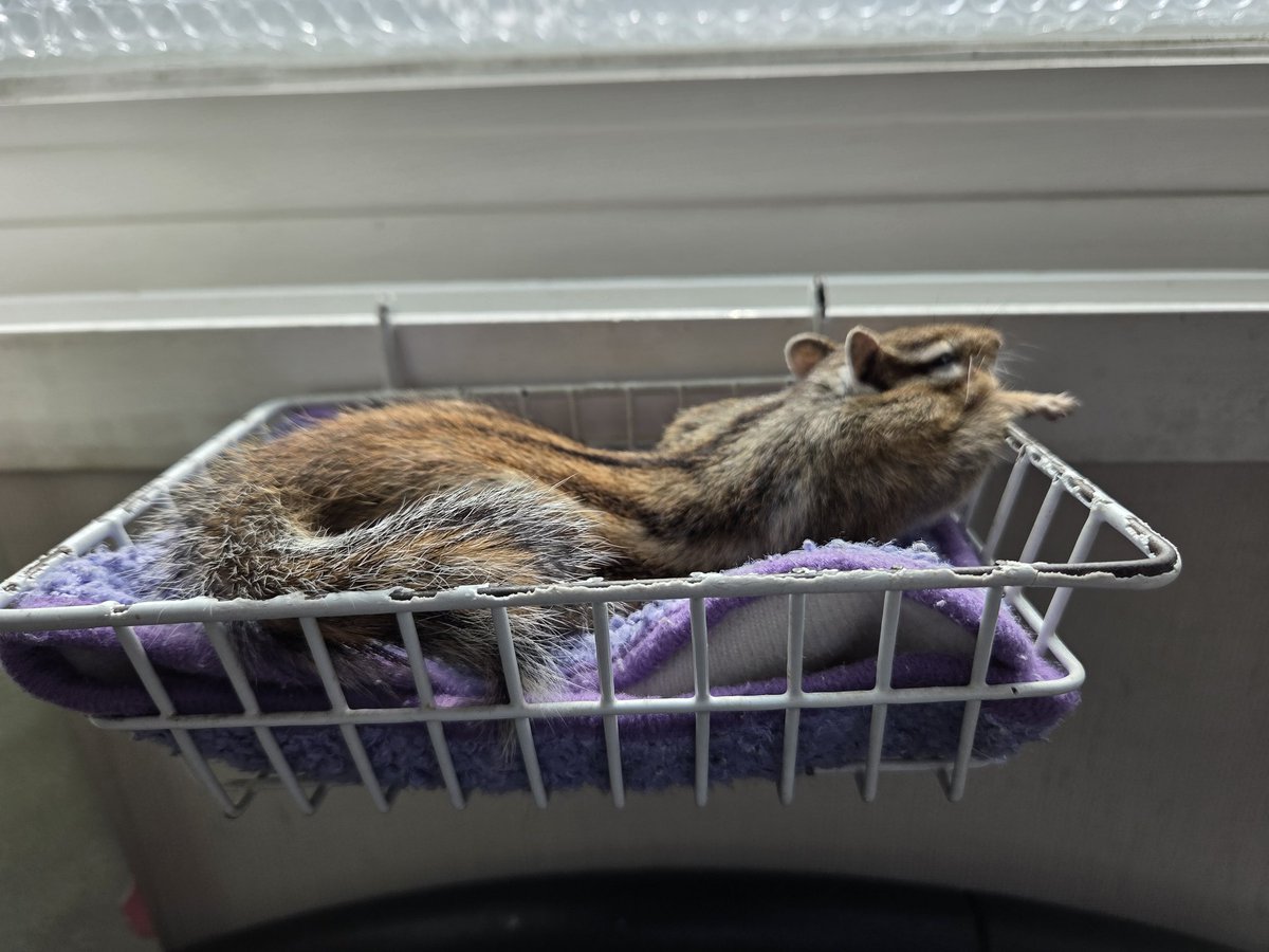 팔붕이 tweet media