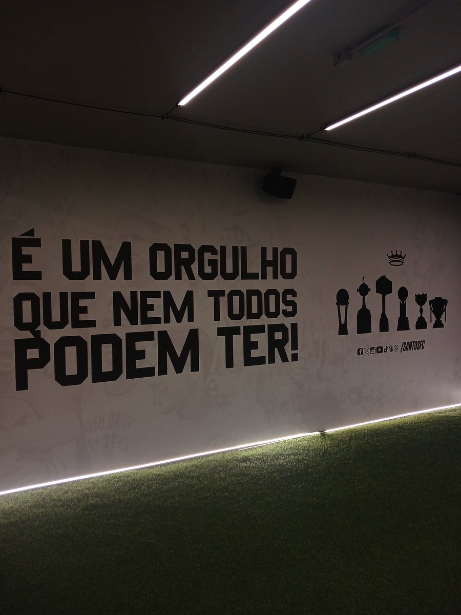 Androba (13/45) tweet media