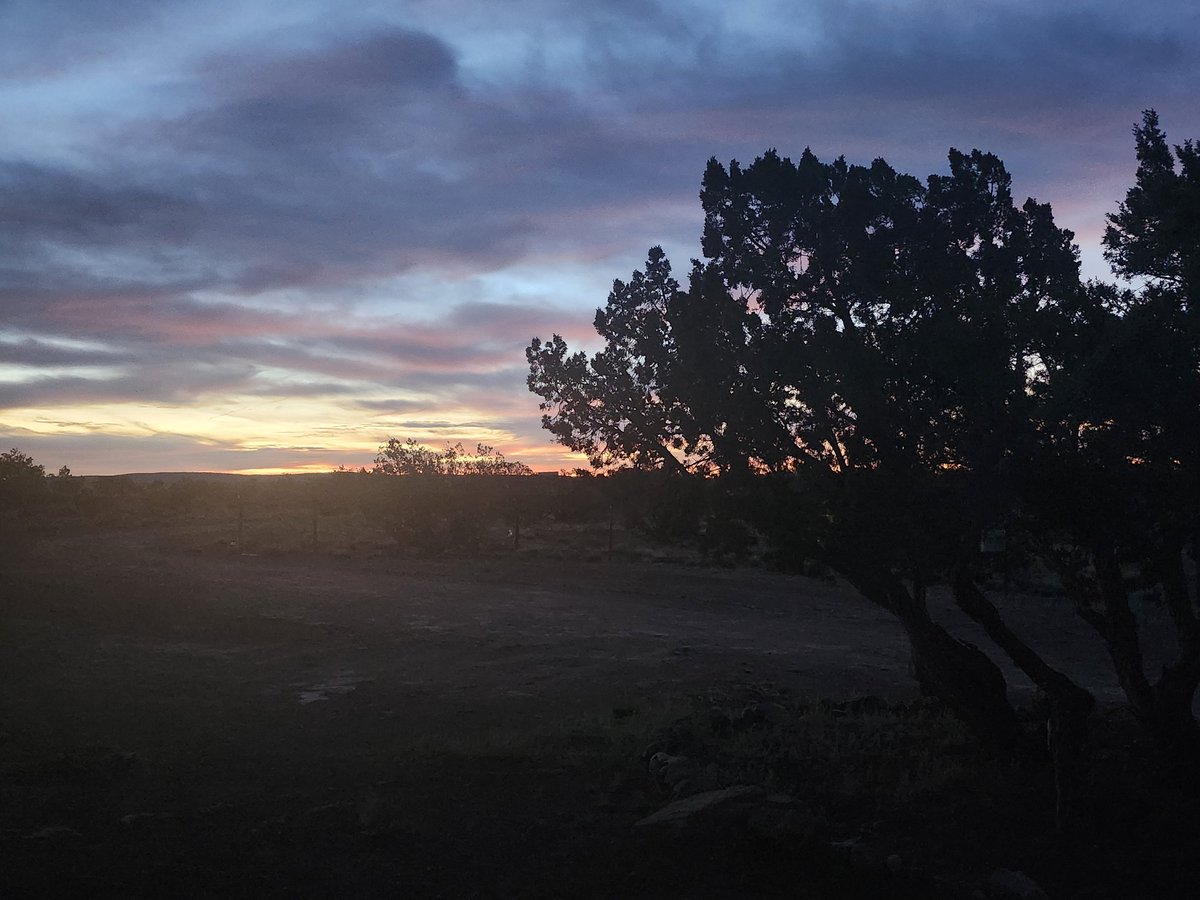 xUNHEILvSNIPEZx tweet media