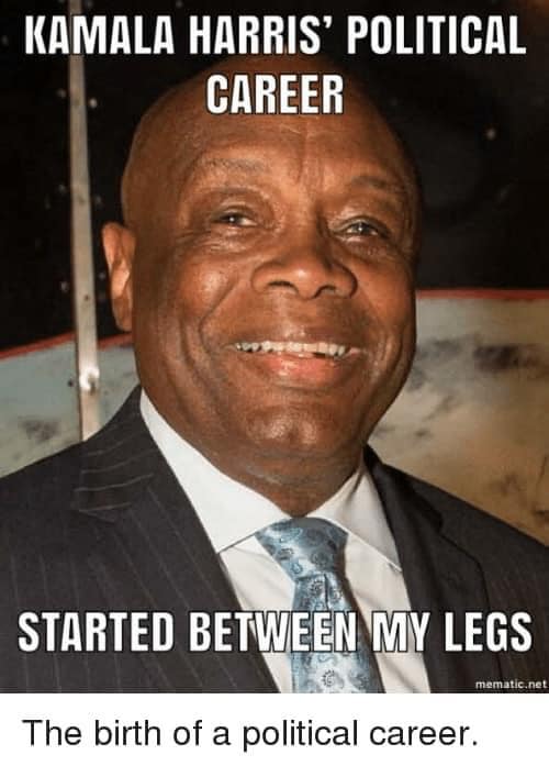 Pingu tweet media