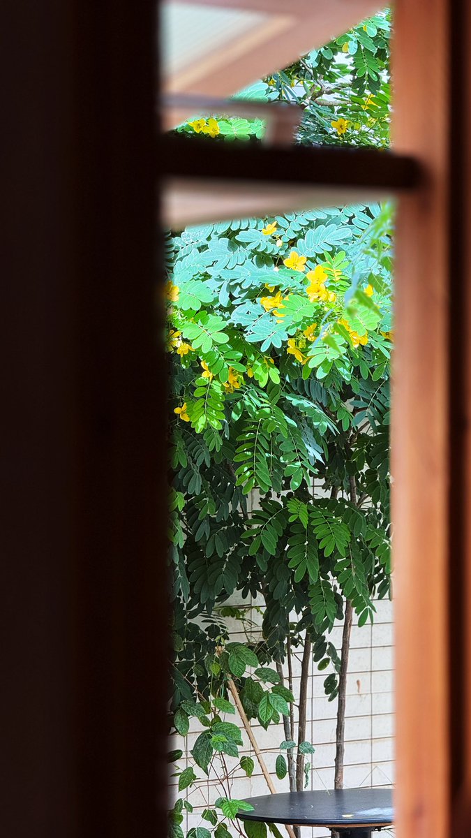 عبدالله tweet media