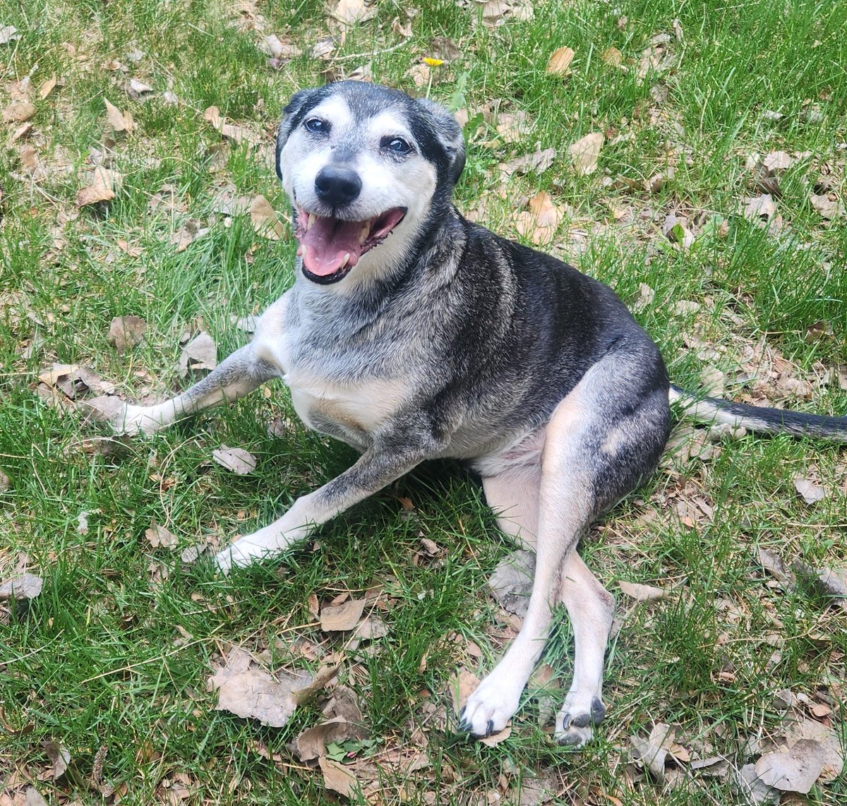 Dis is how i feel about duh shorty!
Cool!