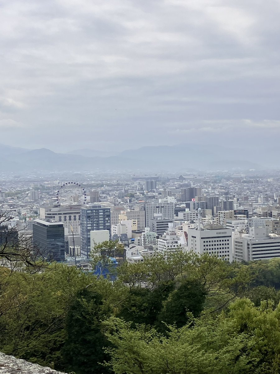 城山公園から望む坊ちゃんスタジアム🏟️
#baystars #ベイスターズ