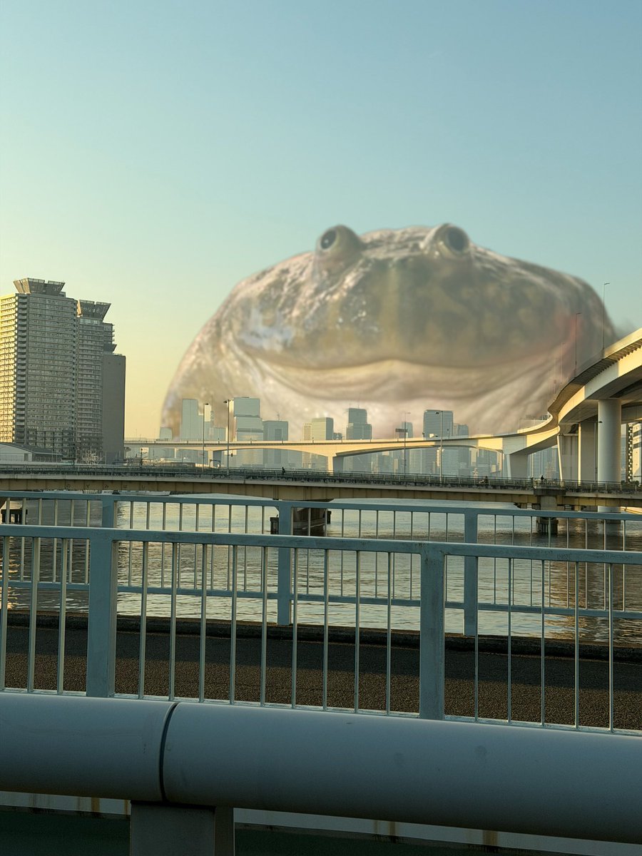 でっかいカエル tweet media
