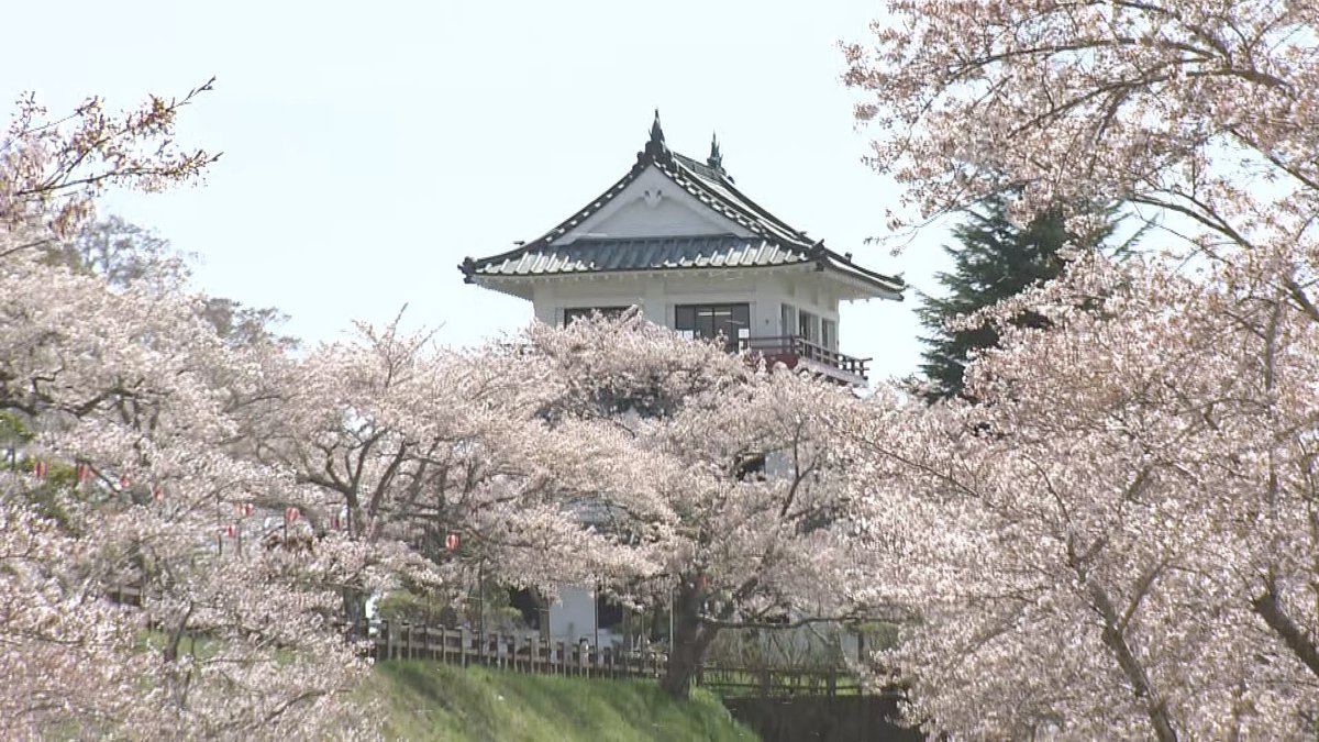 ウォッチン！スタッフ tweet media