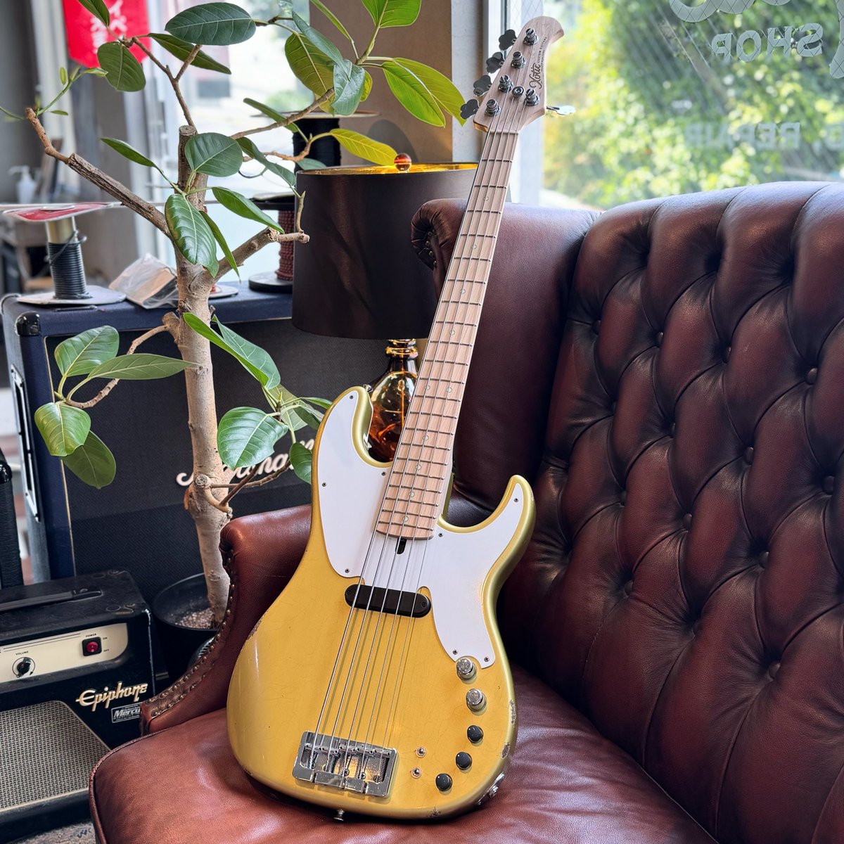 Xotique Japan Shop赤坂【エキゾティーク】 tweet media