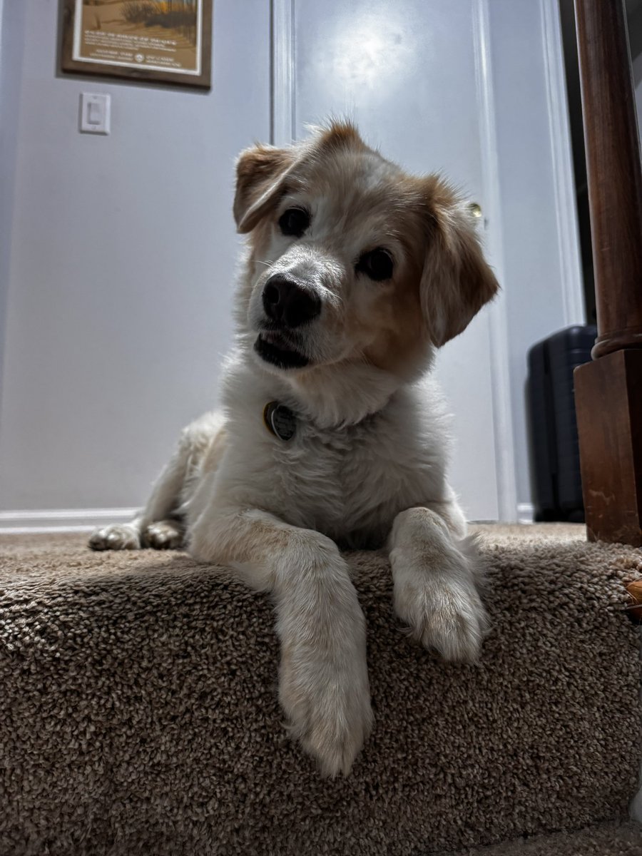 TMay ⭕️🐶♉️ tweet media