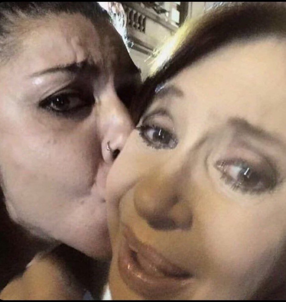 tomitodo tweet media