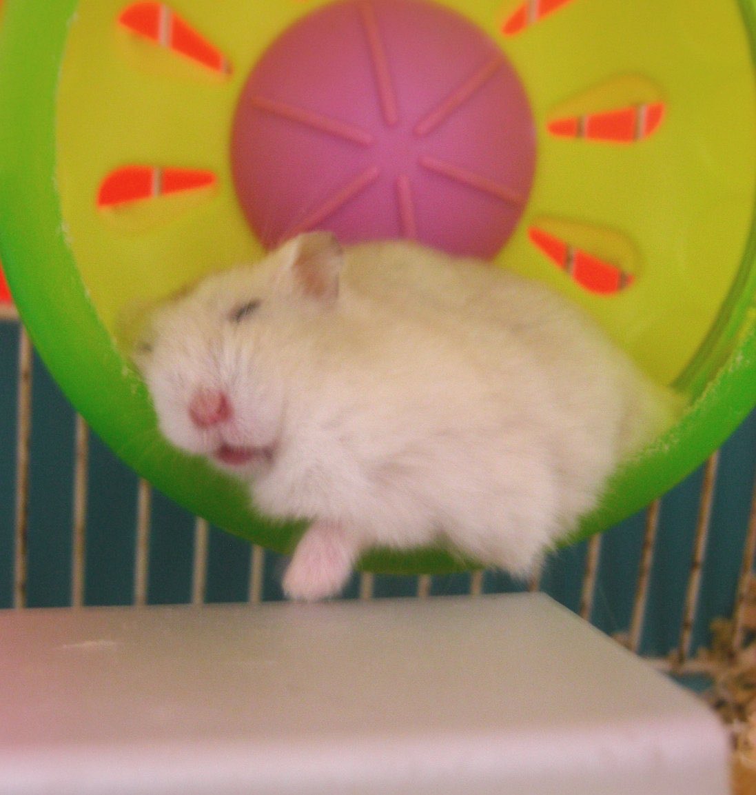 りなりな tweet media