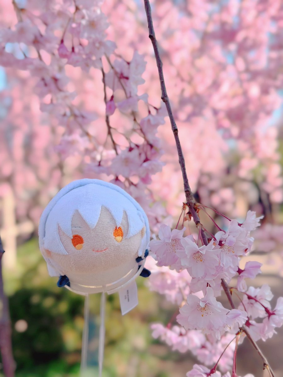 あさいい tweet media