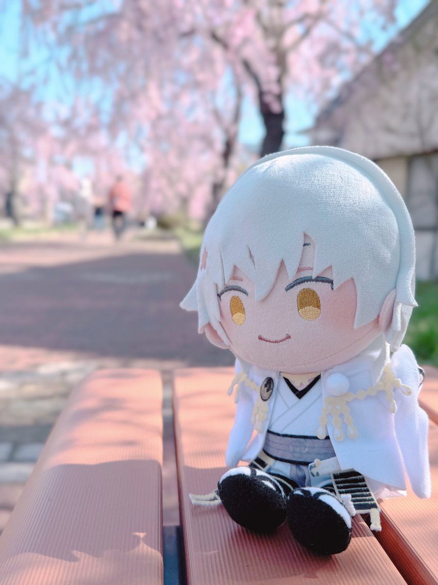 あさいい tweet media