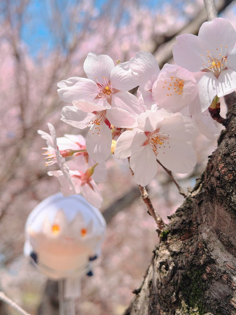 あさいい tweet media