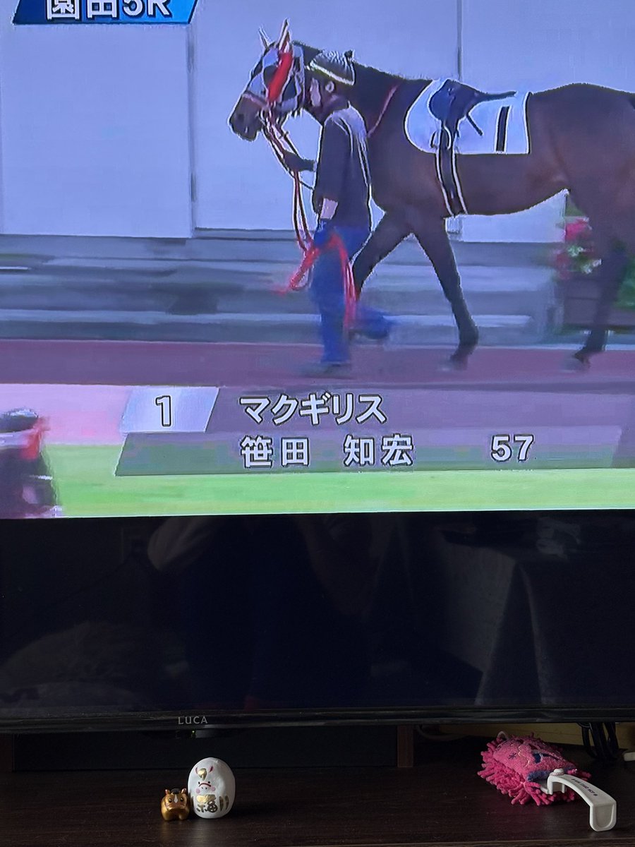 RYOMAステーブル tweet media