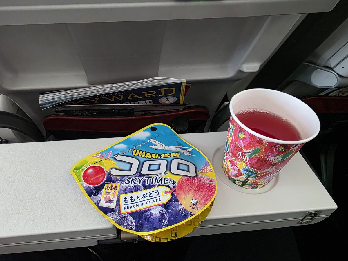 hyt_h1226's tweet image. #JAL 
#SKYTIME