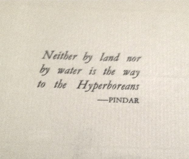 ⚡️🌞 Sol Brah 🌞🐬 tweet media
