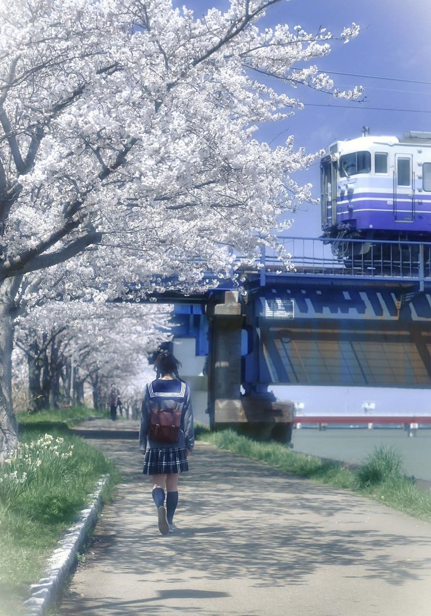 ✝️NOA🇯🇵 tweet media