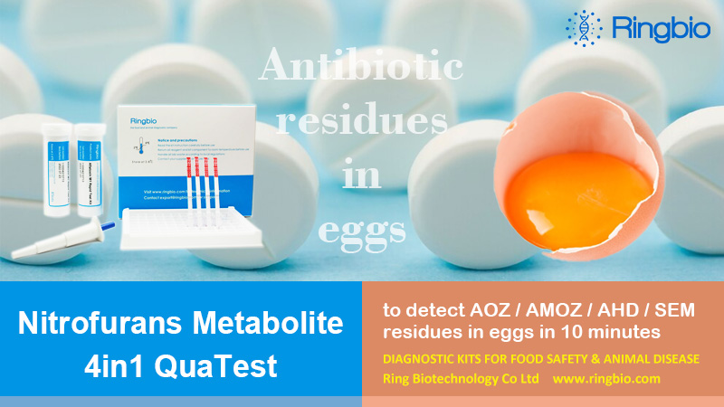 Ringbiotests's tweet photo. #NitrofuransMetabolite rapid test kit is used to detect the four major metabolites of nitrofurans in #egg, #shrimp, #meat, #honey and #milk samples. The total test time is 10min, and the sample preparation is 20min including derivatization.

Check here, https://t.co/VXybwMPdiI https://t.co/T97didYBGR