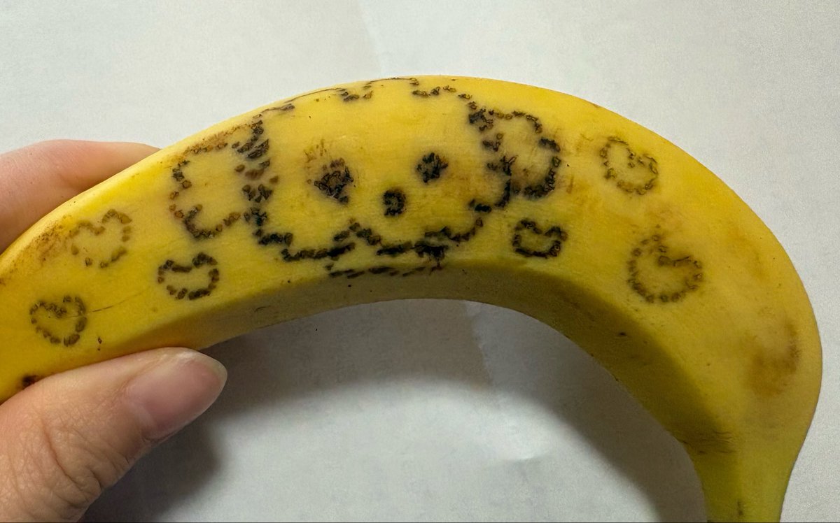 ﾁｮｺｺﾛﾈ🌻 tweet media