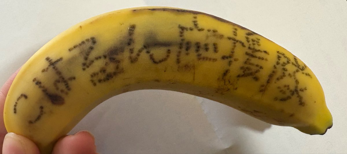 ﾁｮｺｺﾛﾈ🌻 tweet media