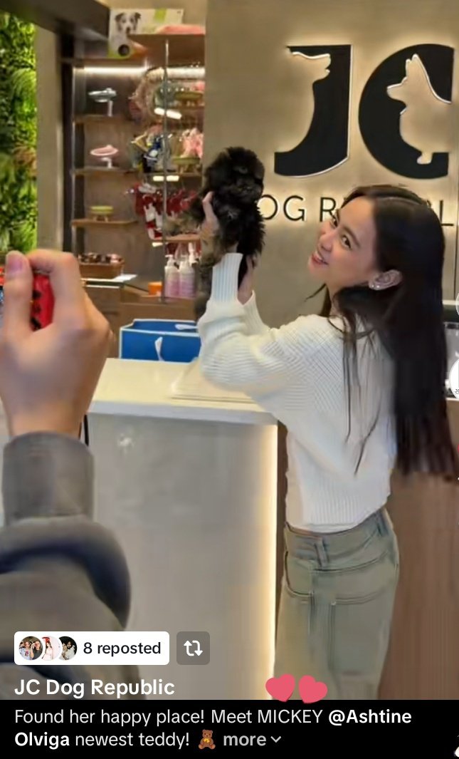 April_Le18's tweet image. May new baby na SI Ashtine. Hi Mickey 🐶🐶🐶🐶