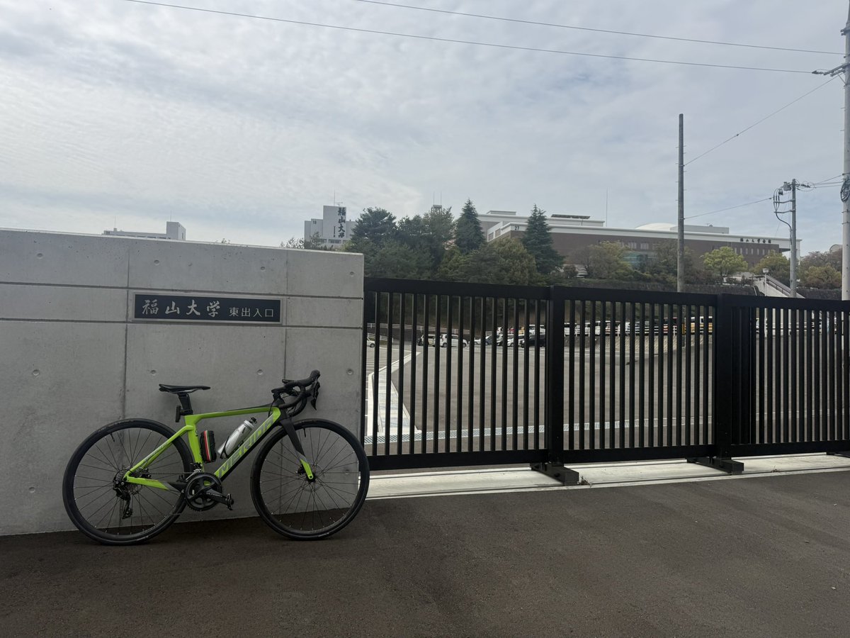 くまちゃん🐻🐶 tweet media