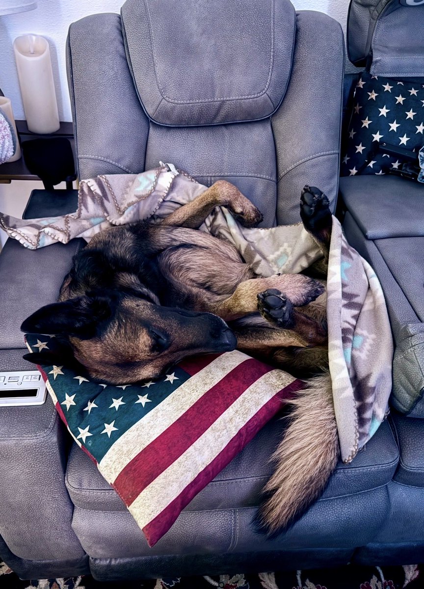 FreedomCADValor 🇺🇸🔱🦅 tweet media