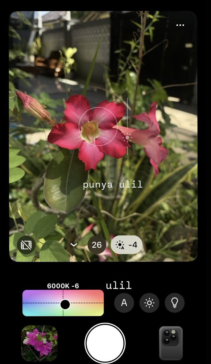 rizrizkyamalia's tweet image. settingan dazz cam yang lagi sering aku pakai. Filternya pakai original, terus adjust part color sesuai yang aku ss dan exposurenya di -4. Ya bisa juga sesuaikan aja kalo mau lebih gelap

Semoga bisa bermanfaat yaa ✨